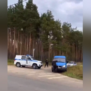 Очевидцы рассказали о сбитом под Ковровом полицейском