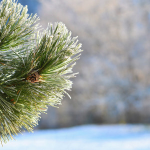 Крещение: что можно и нельзя делать 19 января