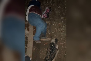 Появилось видео с места падения пожилого мужчины в канаву в Коврове