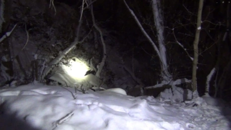 Жителя Владимира будут судить за жестокое убийство супруги табуреткой