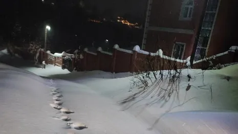 Владимирцы пожаловались на нечищенный снег на дорогах