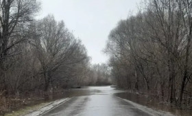 Во Владимирской области в половодье затопило мост и 4 участка дорог