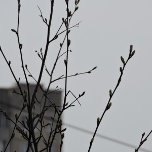 36 день Великого поста: что можно и нельзя 22 апреля 2024 года