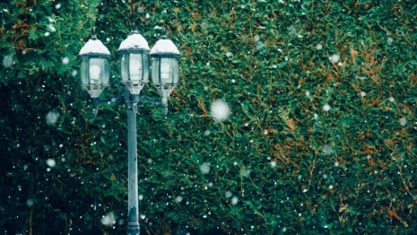 Прогноз погоды во Владимире и области на 19 апреля 2026 года