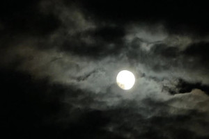 Угрозу атаки БПЛА объявили во Владимирской области в ночь на 9 декабря