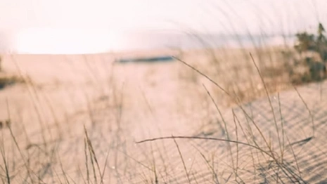 Во Владимирской области жители выступают против расширения улыбышевского карьера