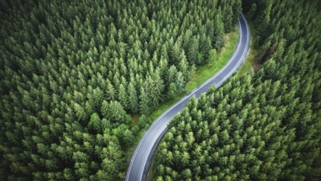 В Гусь-Хрустальном отремонтировали дорогу к нацпарку «Мещера»