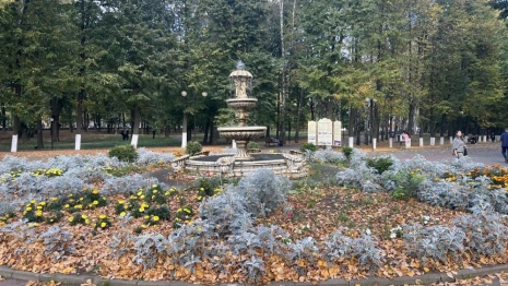 Прогноз погоды во Владимирской области на 19 сентября 2025 года