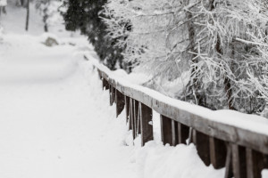 Прогноз погоды во Владимире и области на 26 февраля