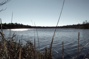 На озере во Владимире нашли труп человека