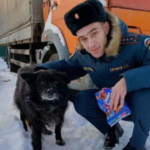 В Судогде спасенному из полыньи псу нашли хозяина