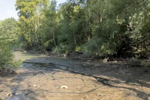 В парке у ДТЮ во Владимире началось осушение прудов