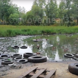 Пруд рядом со школой во Владимире превратился в кладбище покрышек