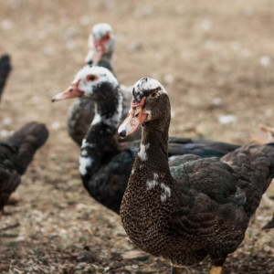 13 день второй седмицы Великого поста: что можно и нельзя 30 марта