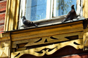 Во Владимирской области 79 деревень будут бороться за звание самой красивой