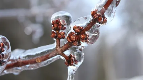 В октябре на Владимирскую область могут обрушиться ледяные ливни