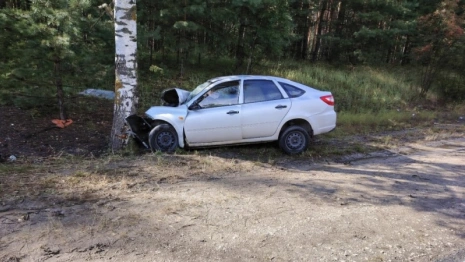 В Муромском районе 66-летний автомобилист погиб после наезда на дерево