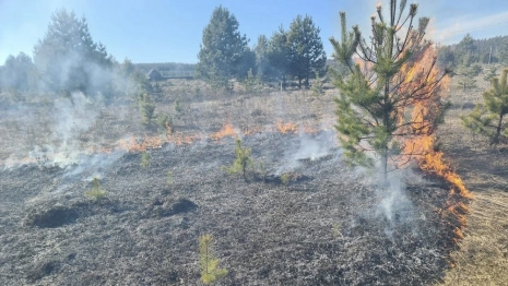 С 1 апреля во Владимирской области установится пожароопасный сезон