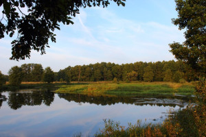 В Суздале расчистят и углубят Нерль