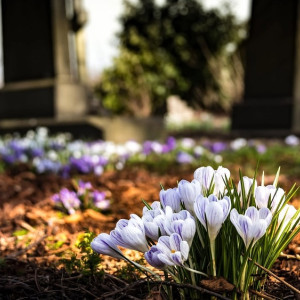 На Пасху во Владимире пустят автобусы на кладбища