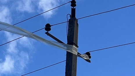 Ветер во Владимирской области усилился до 21 м/с