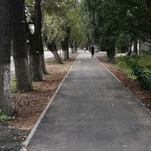 В райцентре Владимирской области у школы появился новый тротуар 
