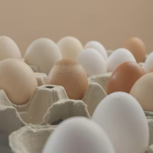Эксперты связали рост цен на яйца во Владимирской области с птичьим гриппом