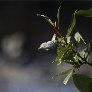 Синоптики пообещали теплое начало весны во Владимирской области