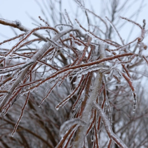 Владимирский губернатор прокомментировал массовые отключения света из-за ледяного дождя