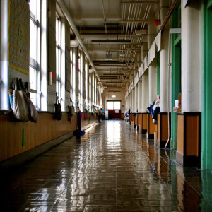 Во Владимире подготовка школ к учебному году обошлась в 115 млн