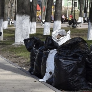 Владимирцев пригласили на общегородской субботник 20 апреля