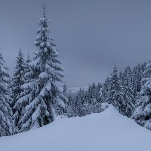 Пропавшего в Муроме 12-летнего мальчика нашли живым