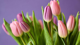 Владимирцам рассказали, как дольше сохранить букеты свежими