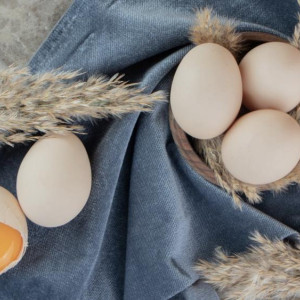 Во Владимирской области подорожали огурцы и яйца