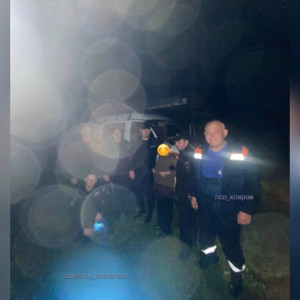 В Коврове спасатели помогли найти заблудившуюся в лесу 87-летнюю женщину