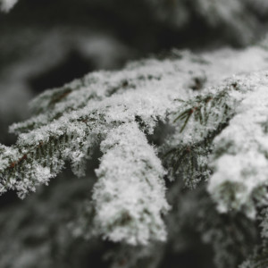 Прогноз погоды во Владимире и области на 30 ноября