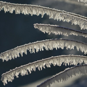 Морозы до -14 вернутся во Владимир