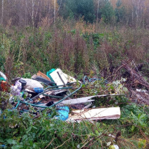 Во Владимирской области нашли 5 несанкционированных свалок
