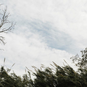 Во Владимирской области предупредили о приближающемся урагане