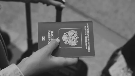У жителя Владимира собака съела паспорт