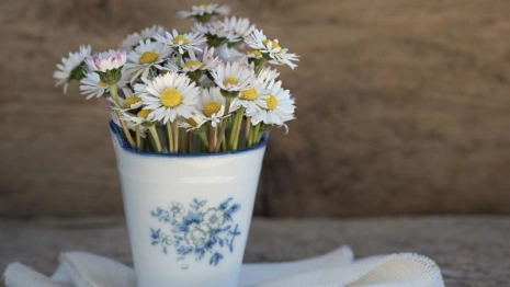 День Евдокии Свистуньи: что можно и чего нельзя делать 14 марта