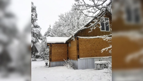 Во Владимирской области турбазу в сосновом лесу выставили на продажу за 180 млн