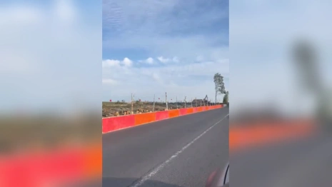 Катастрофические масштабы вырубки леса при расширении трассы на Суздаль показали на видео