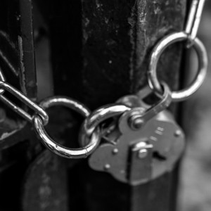 В уголовном деле главы владимирского отделения ДОСААФ появился новый эпизод