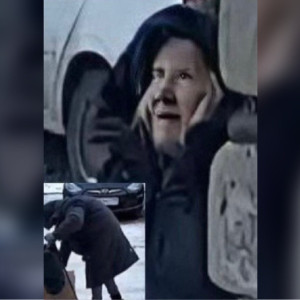 В Гусь-Хрустальном пропала 81-летняя бабушка