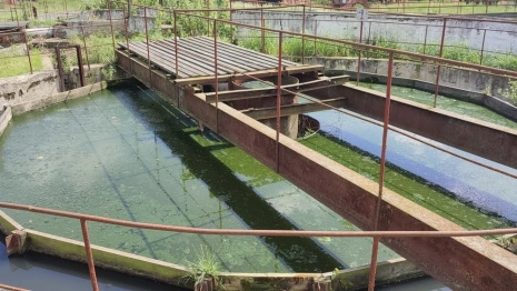 Бывшего главу администрации Карабаново будут судить за загрязнение реки