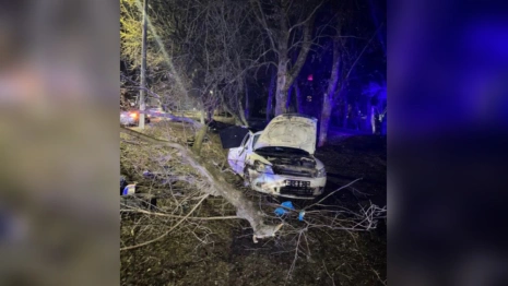 Во Владимирской области иномарка врезалась в бордюр и улетела в дерево