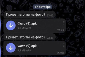 Во Владимирской области аферисты придумали новую схему обмана для пользователей Telegram