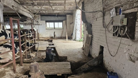 Директора фермы под Ковровом будут судить за гибель работника