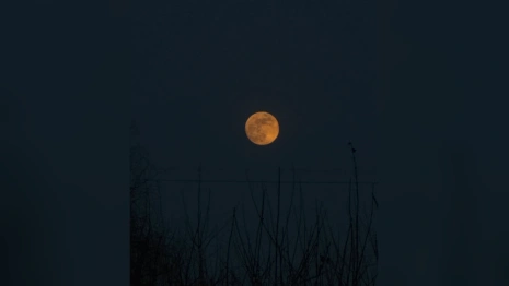 В небе над Владимиром заметили Кровавую Луну